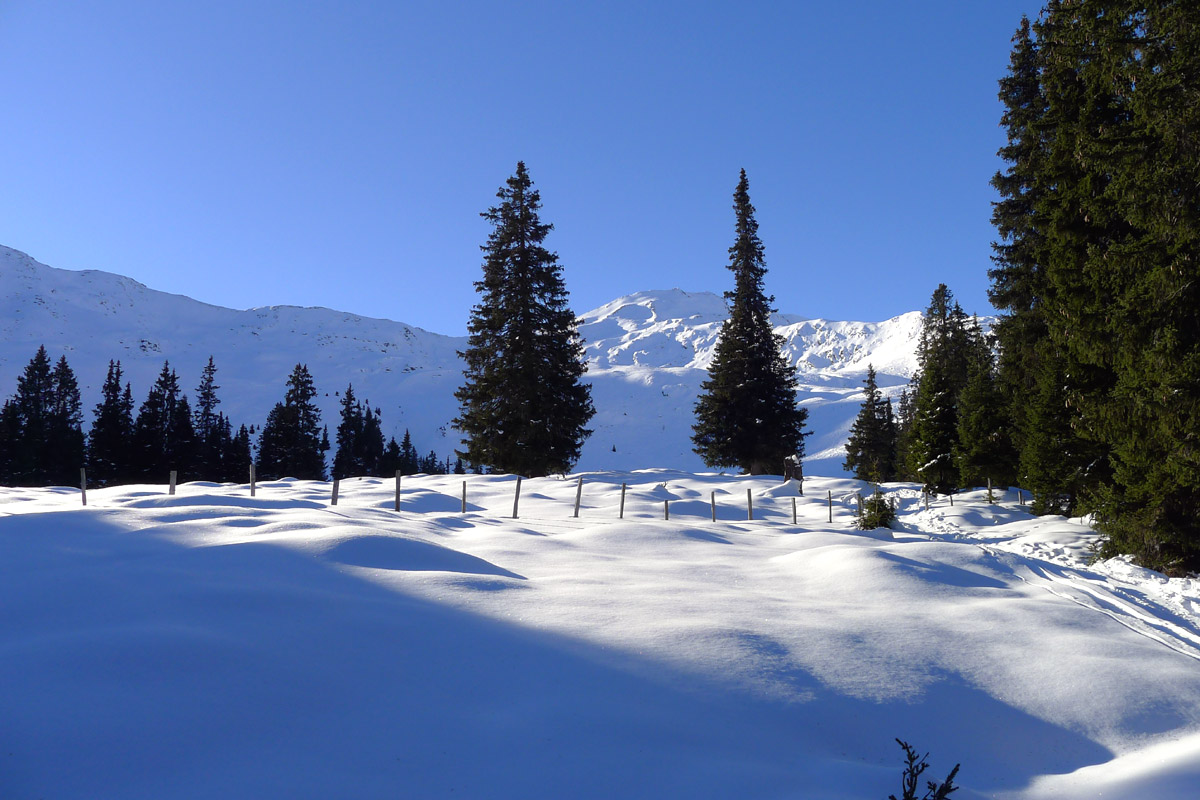 9 Skitouren Pflersch Silvester
