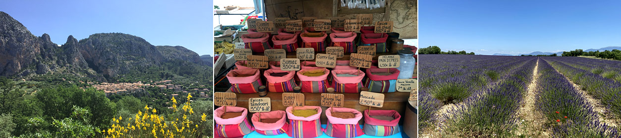 Transverdon Mountainbike